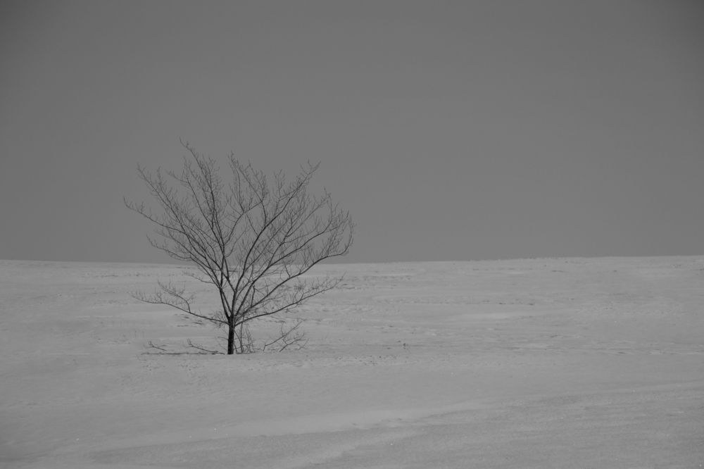 Photograph by Анжелика Сороколетова