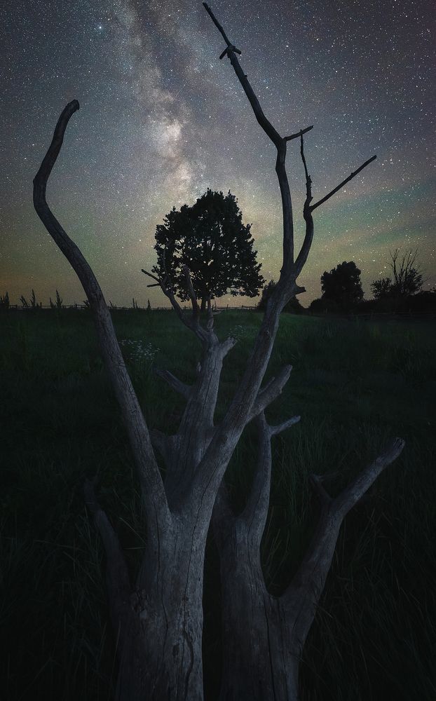 В звёздную ночь