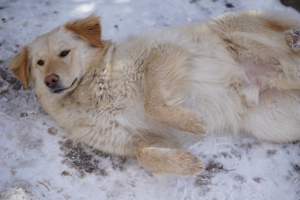 Photograph by Гюзель Даугуль