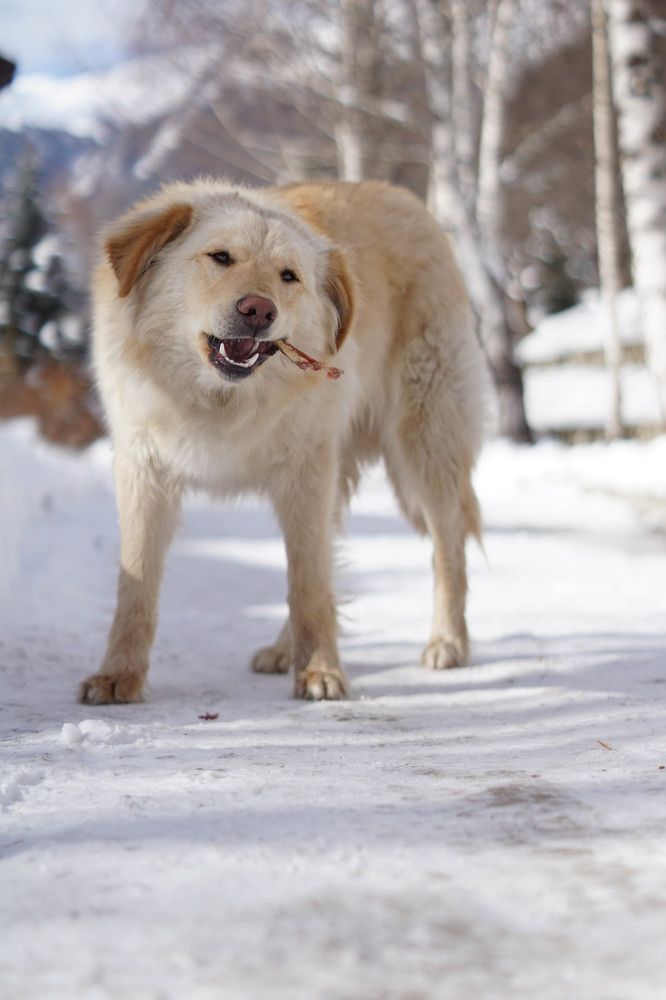 Photograph by Гюзель Даугуль