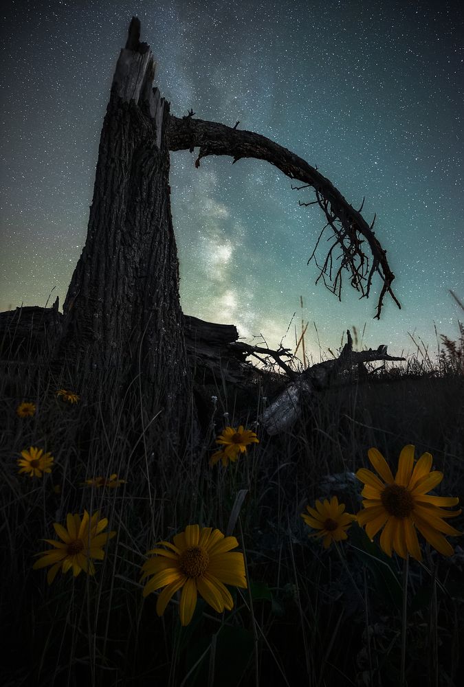 Ночь сентября