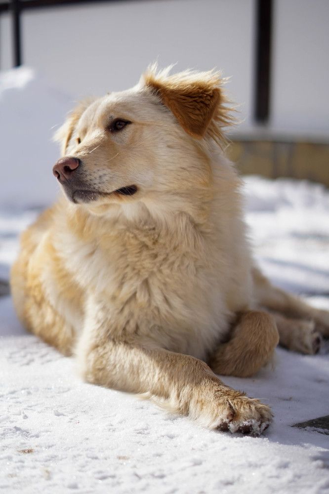 Photograph by Гюзель Даугуль