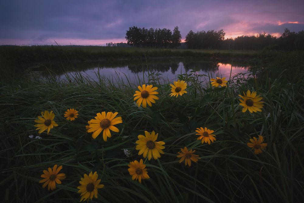 Вечер у пруда