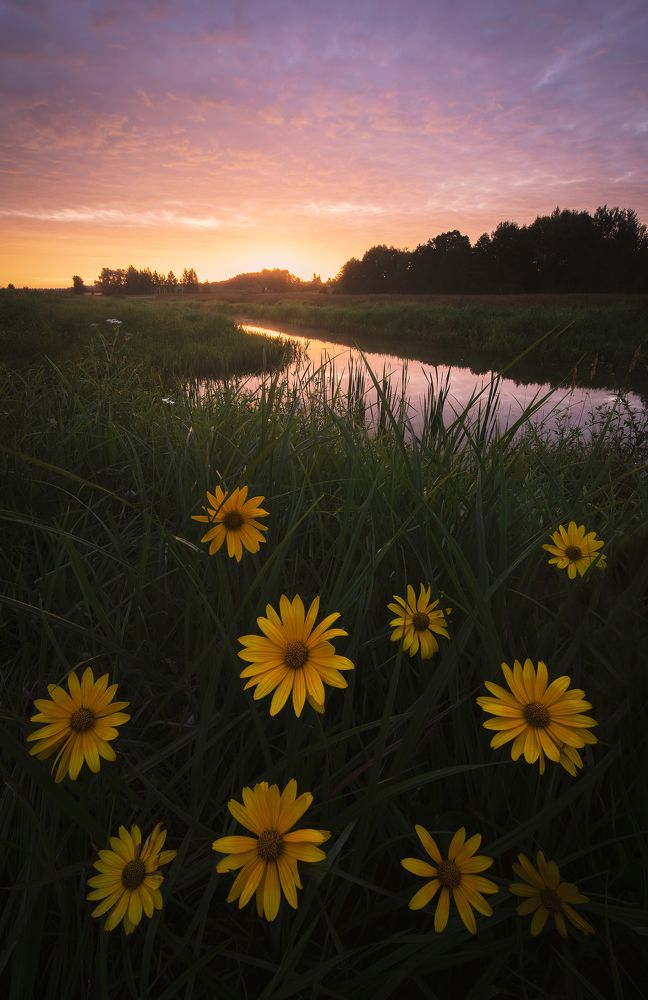 Яркое начало дня