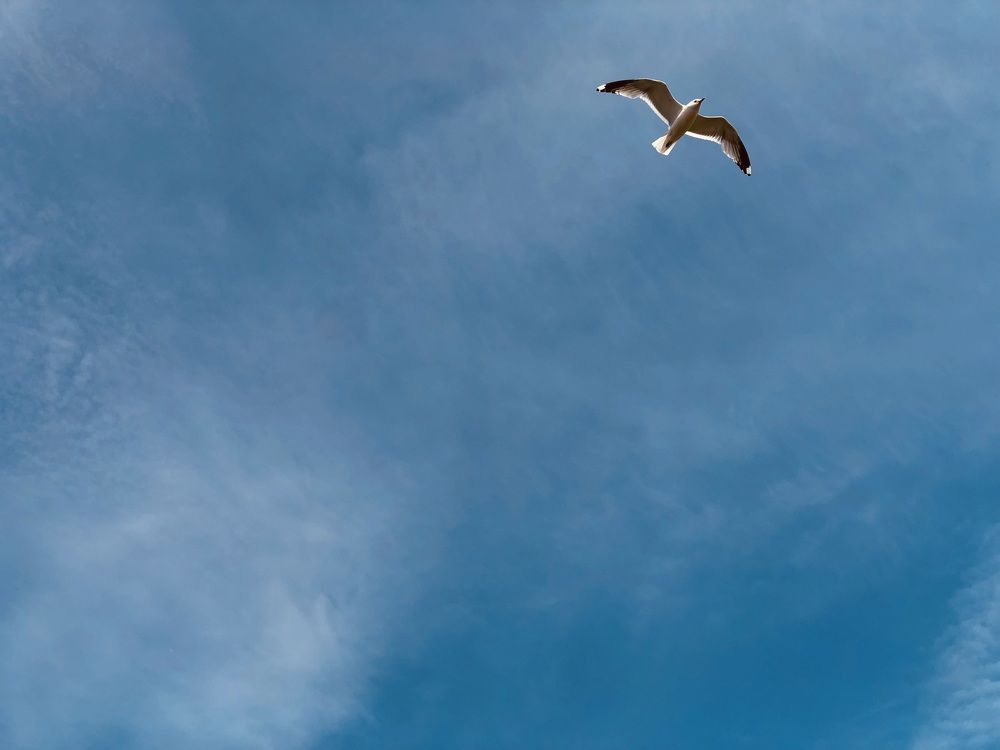 Photograph by Олеся Семёнова