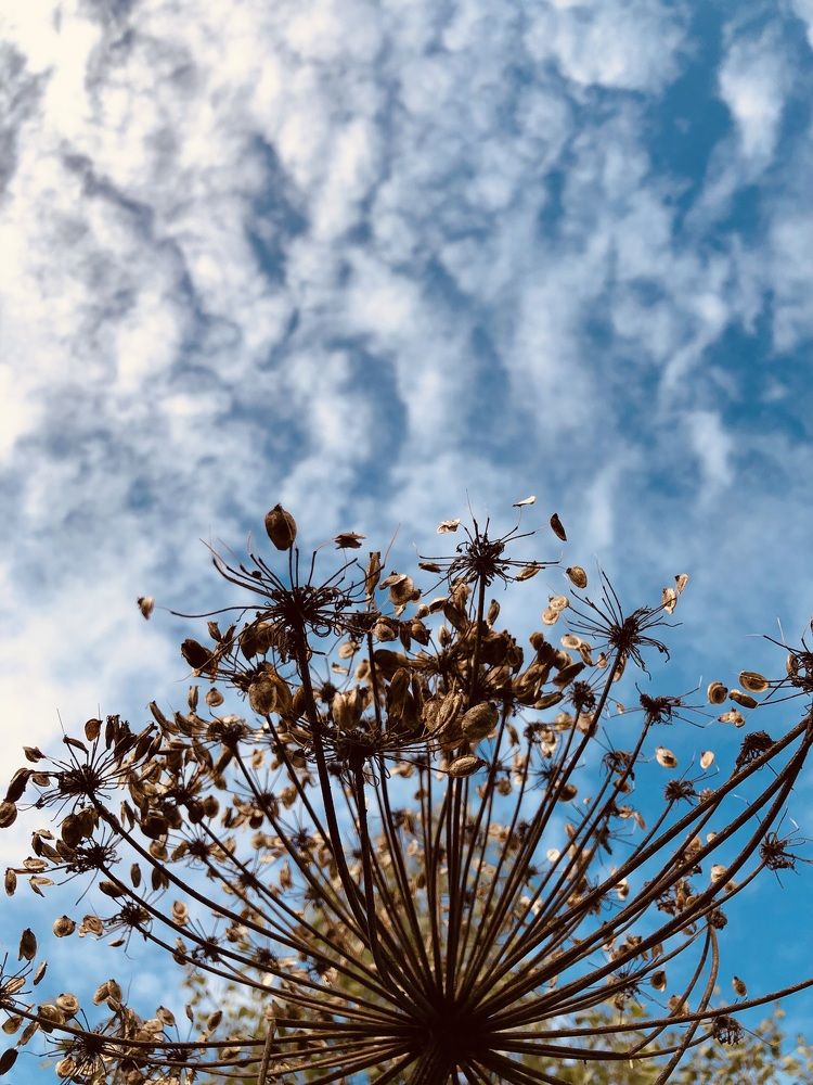 Photograph by Олеся Семёнова