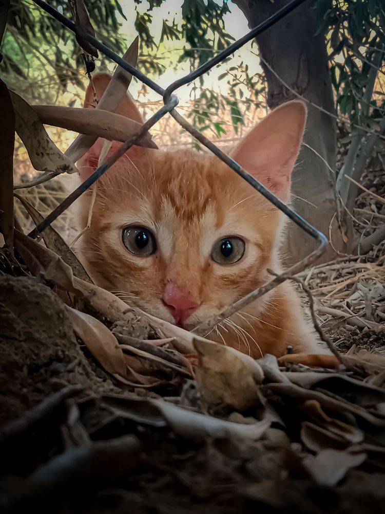 Photograph by Sara Bounab