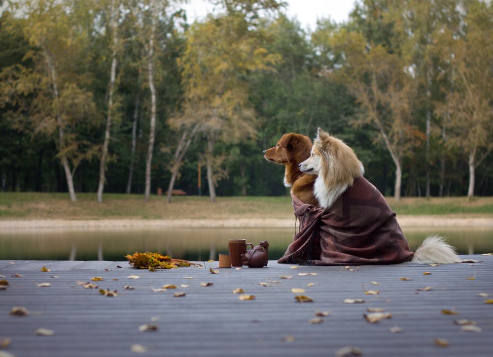 Photograph by Елена Иванова