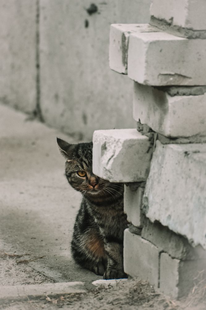 Photograph by Елена