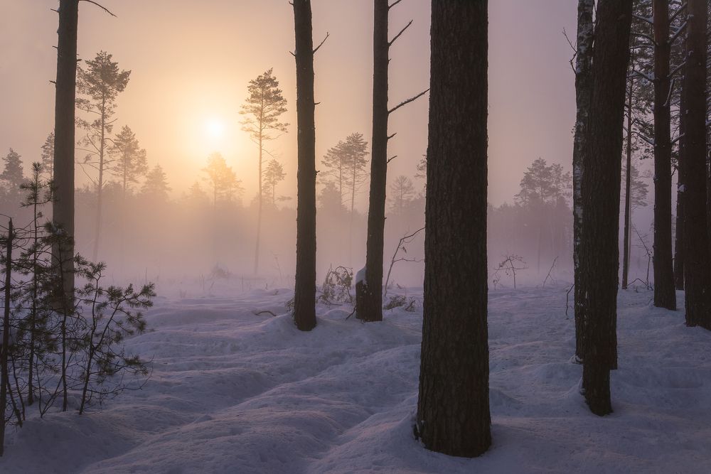 В лунном свете