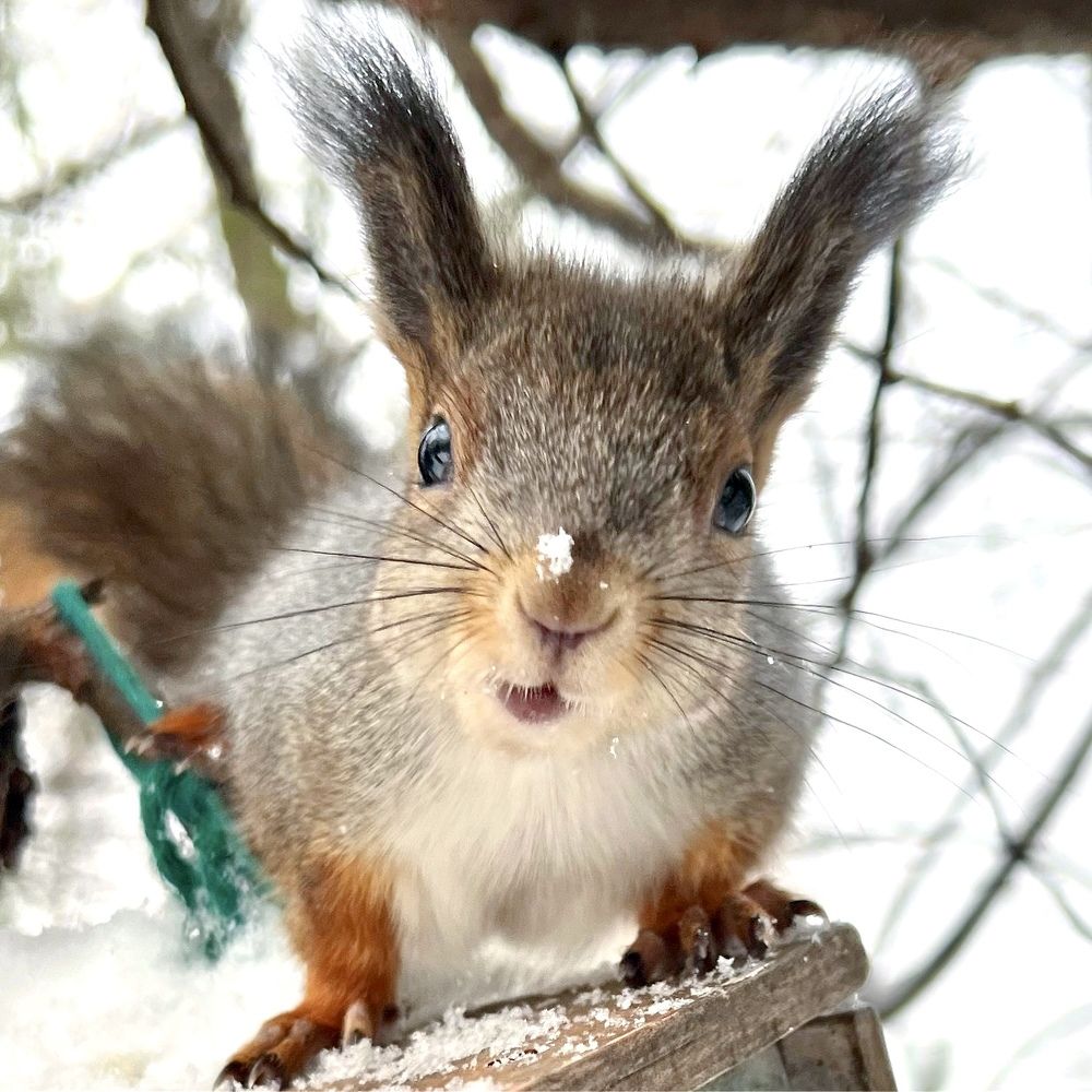 Photograph by Ирина