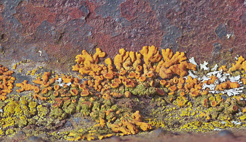 Photograph by Игорь Зиновьев