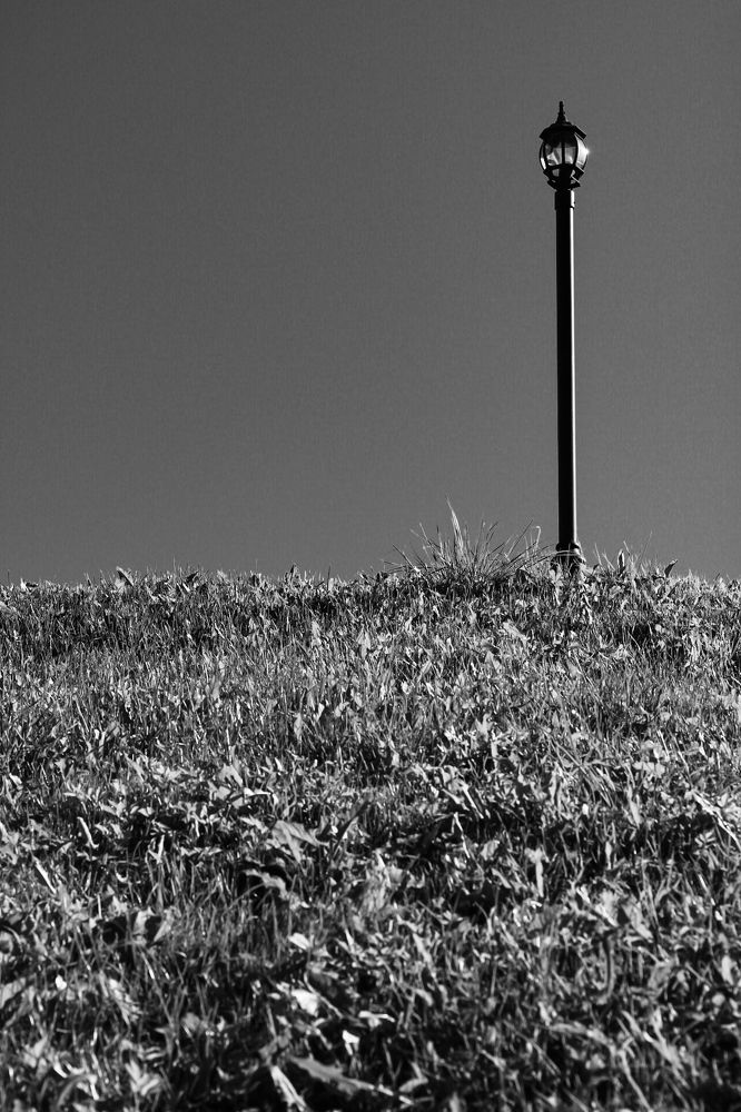 Photograph by МАРИНА