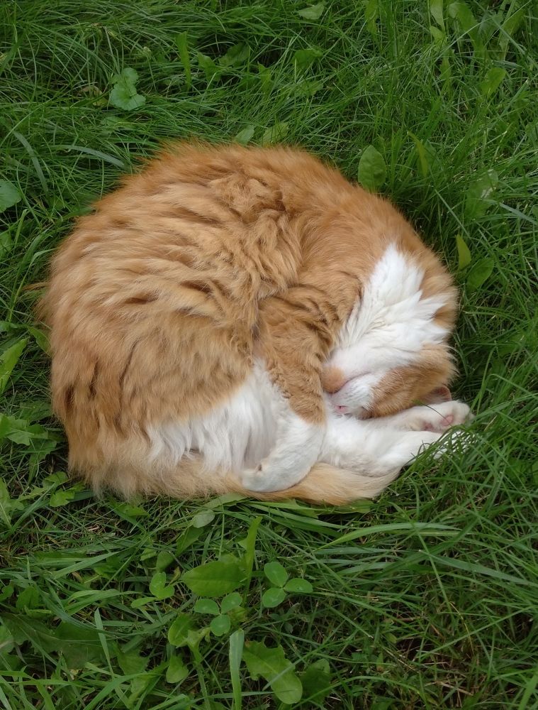 Photograph by Елена Коробченко