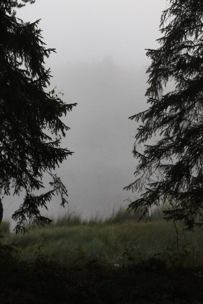 Photograph by МАРИНА