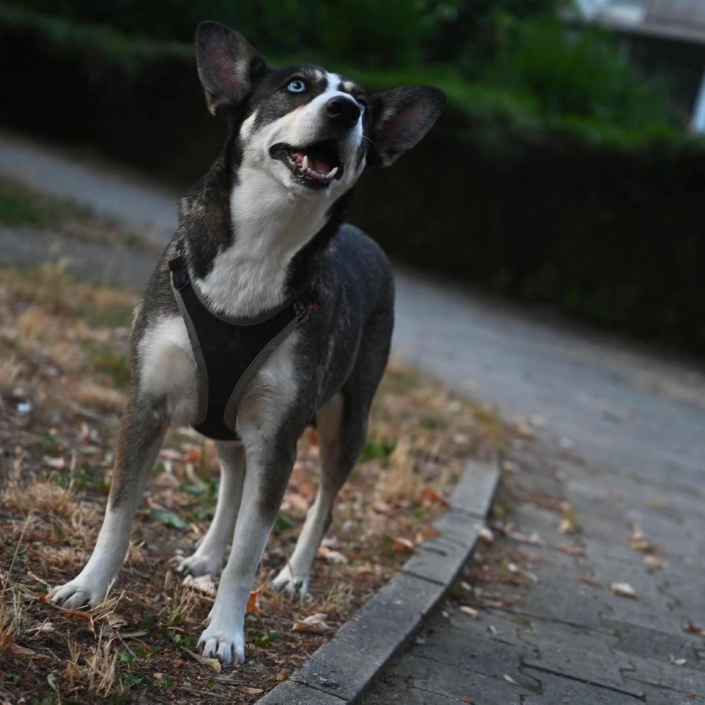 Фотография автора Slavica Gligorievska