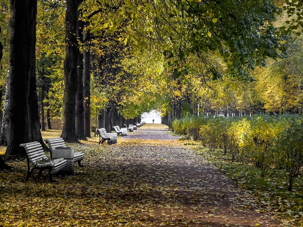 Photograph by Гордий Михаил