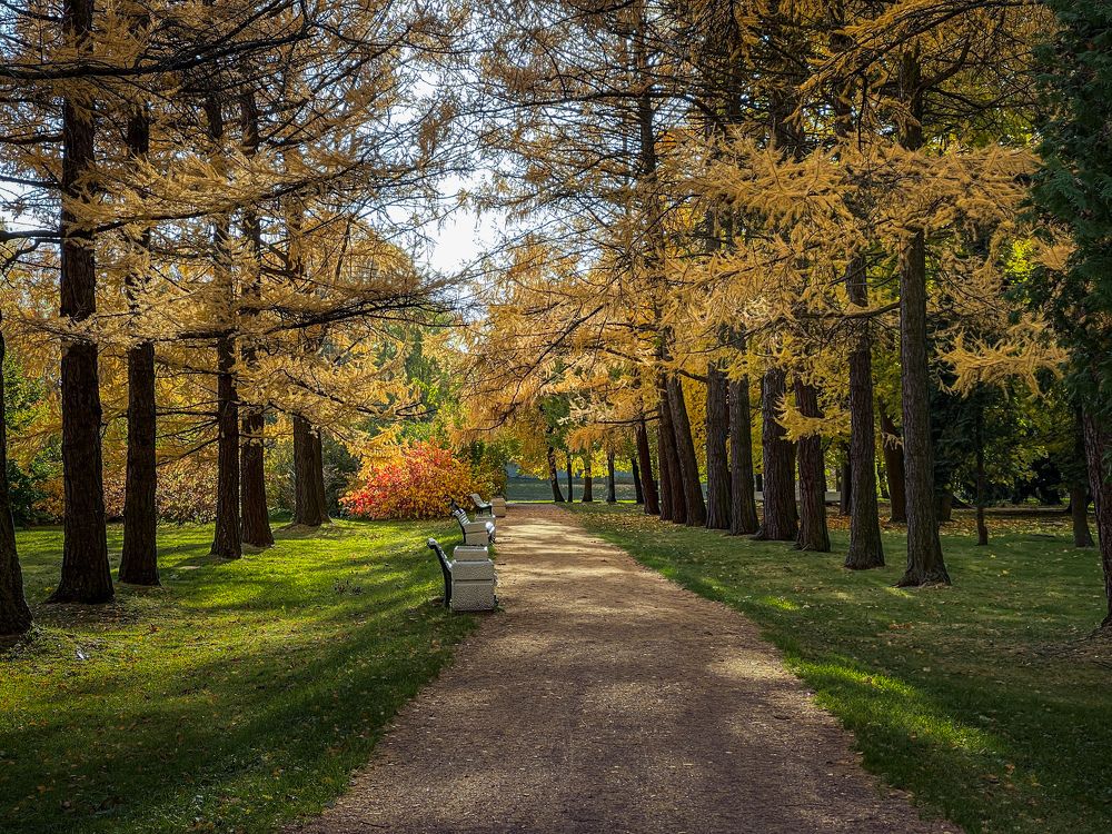 Photograph by Гордий Михаил