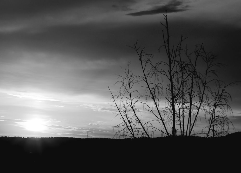 Photograph by МАРИНА