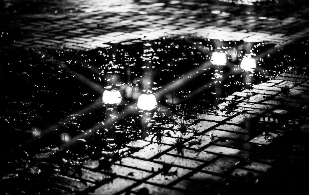 Photograph by МАРИНА