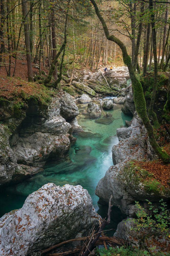 Vintgar Gorge