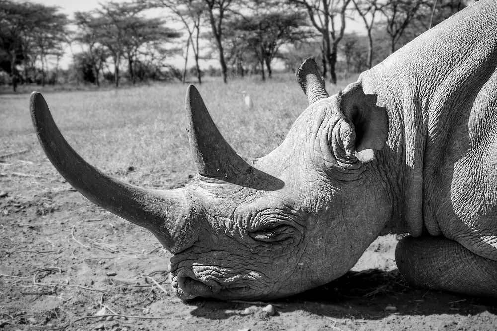 Photograph by Florence