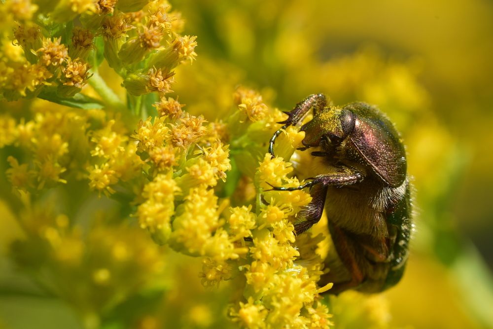 Photograph by Корнейчук Игорь