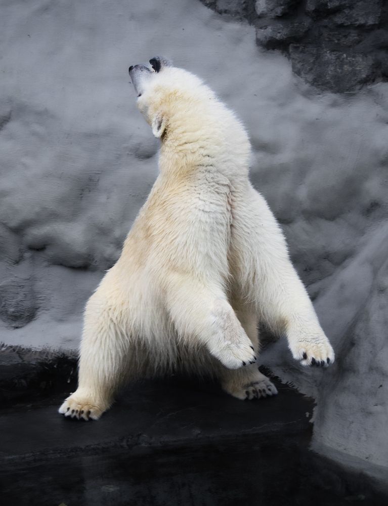 Photograph by Aleksandr Kolonsky