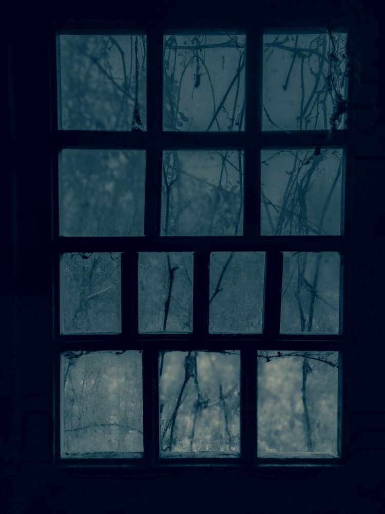 Фотография автора Ирина Гриценко