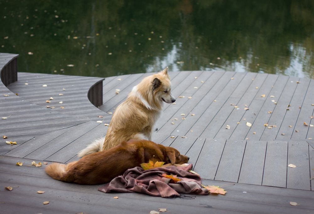 Photograph by Елена Иванова