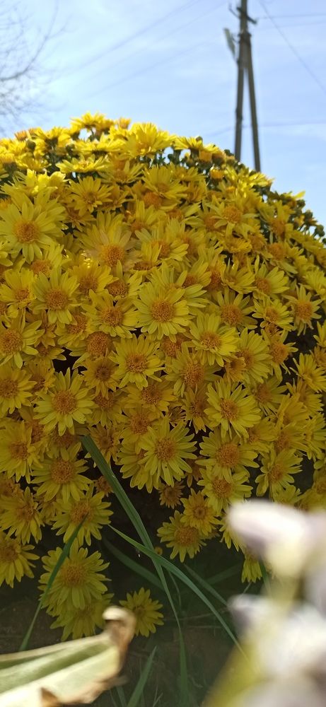 Photograph by Виорика Фоменко