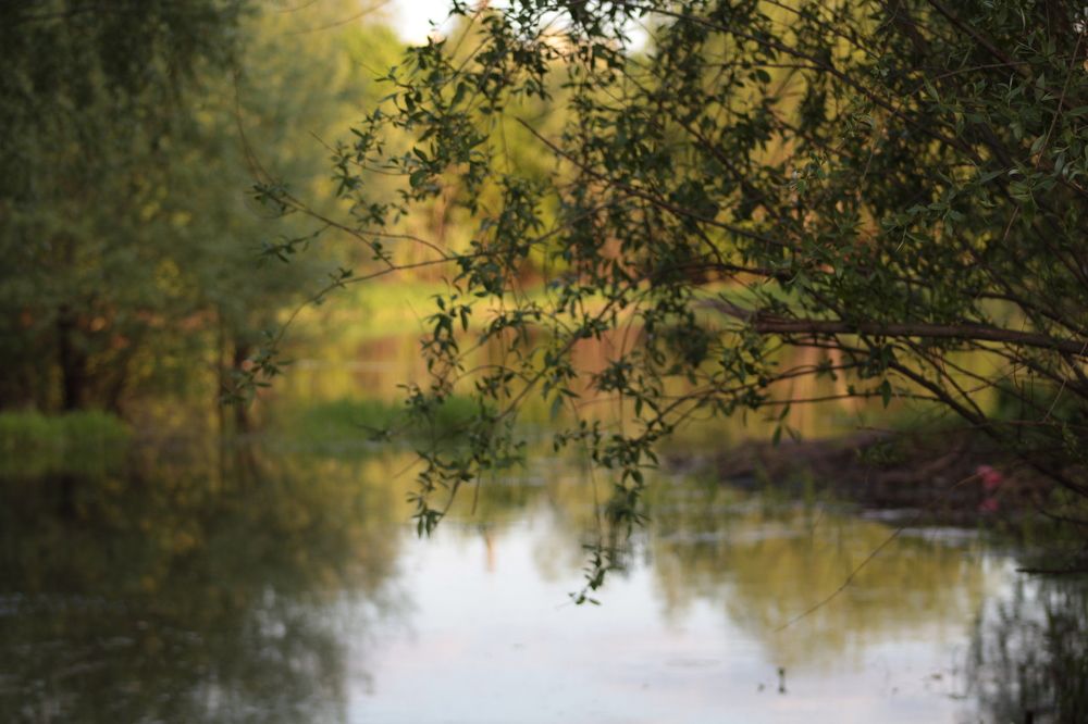 Photograph by Ольга