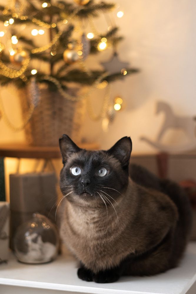 Photograph by Мария Карышева