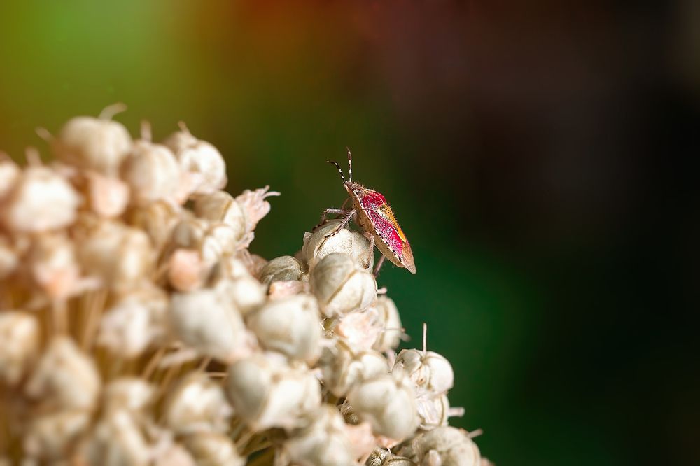 Photograph by Ажар Шайдилдинова