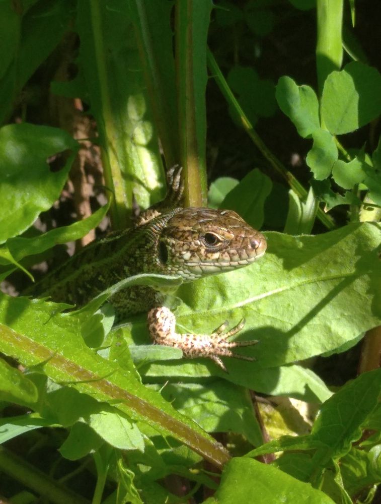 Photograph by Елена Коробченко