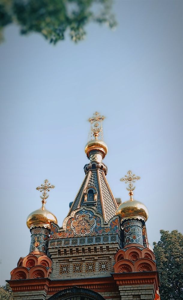 Photograph by Mishel