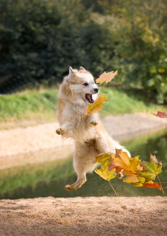 Photograph by Елена Иванова