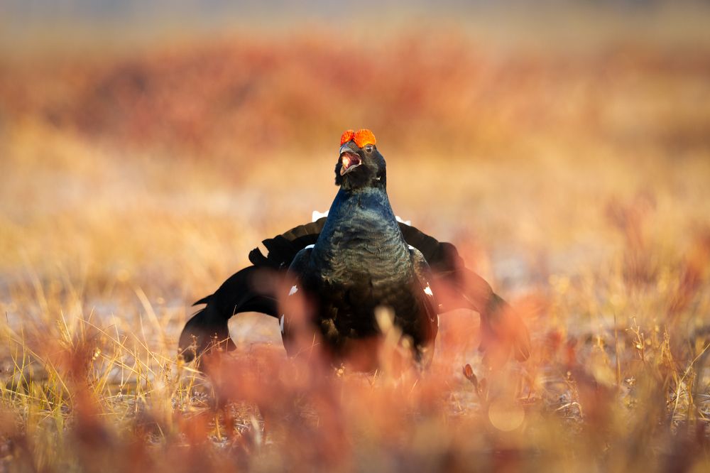 Photograph by Александр Ильин