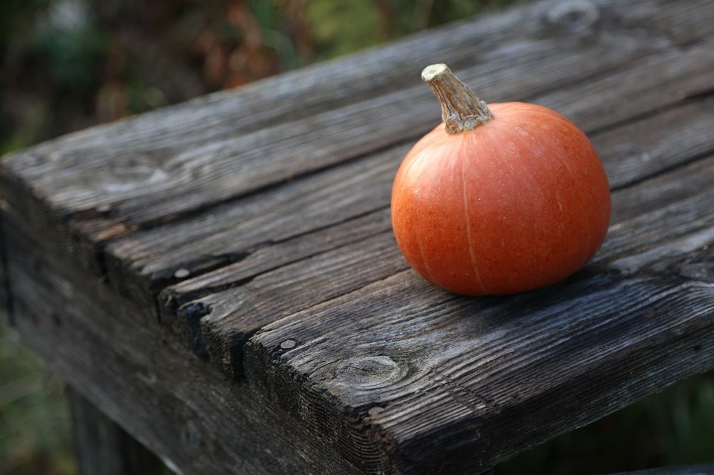 Фотография автора Алина Ефимова