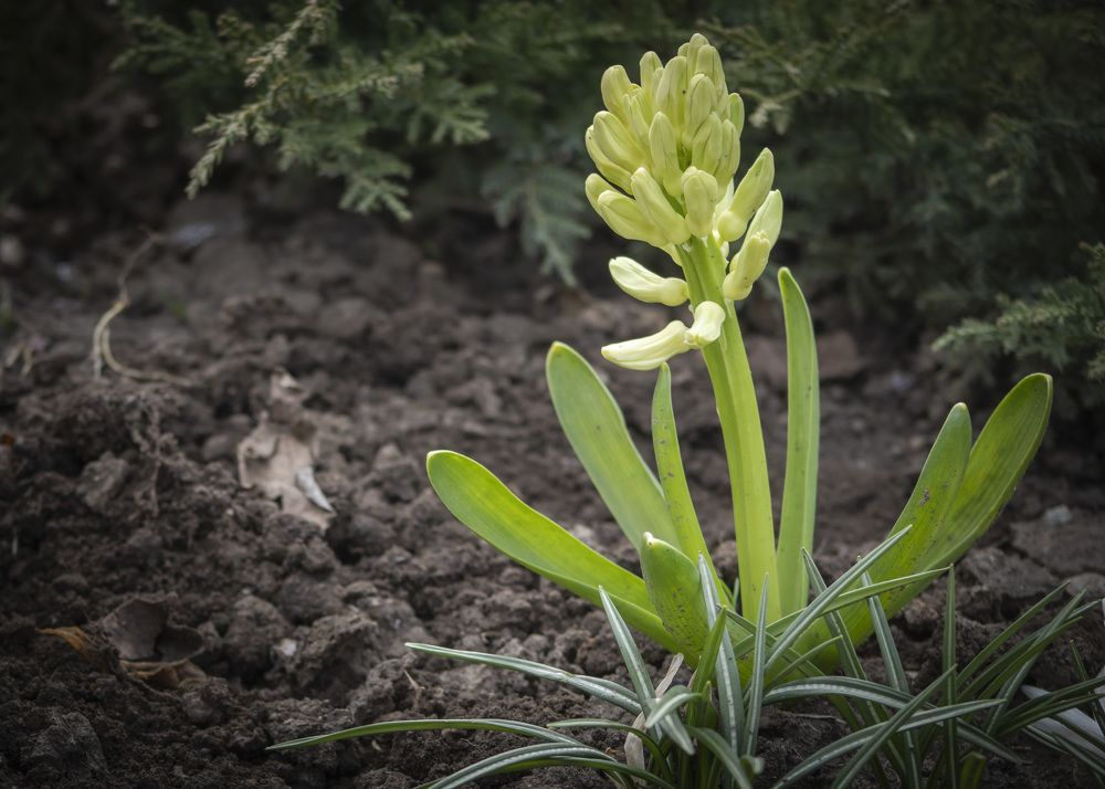 Photograph by Галина Литвинова