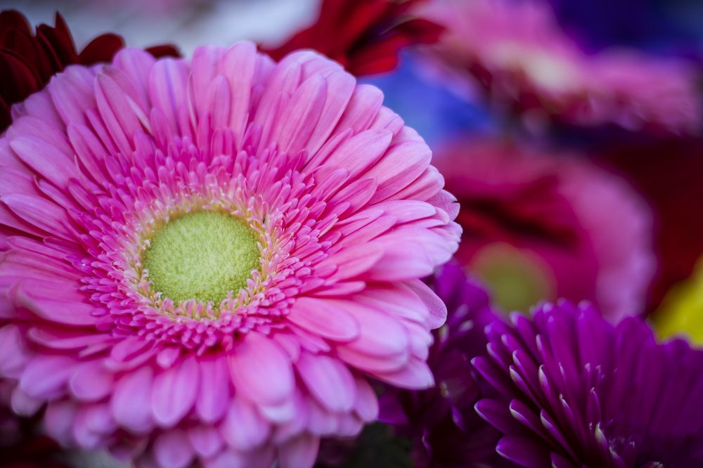 Photograph by Галина Литвинова