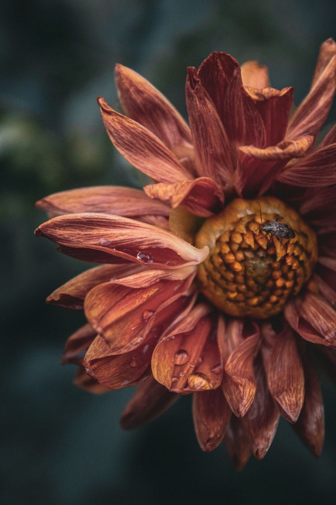 Фотография автора Юрий Серов