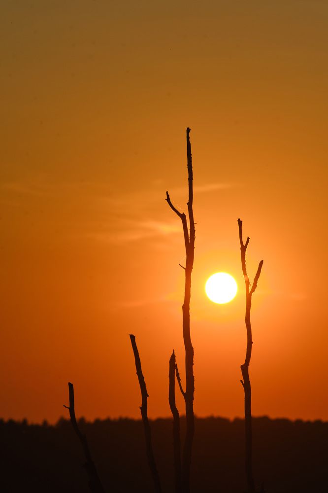 Photograph by Сергей Кузнецов