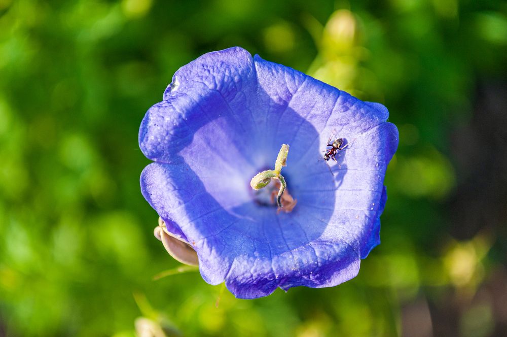 Photograph by Денис Кичев