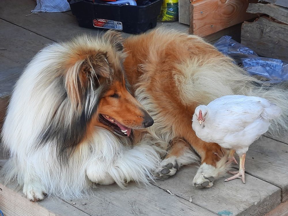 Photograph by Сергей Назаредский