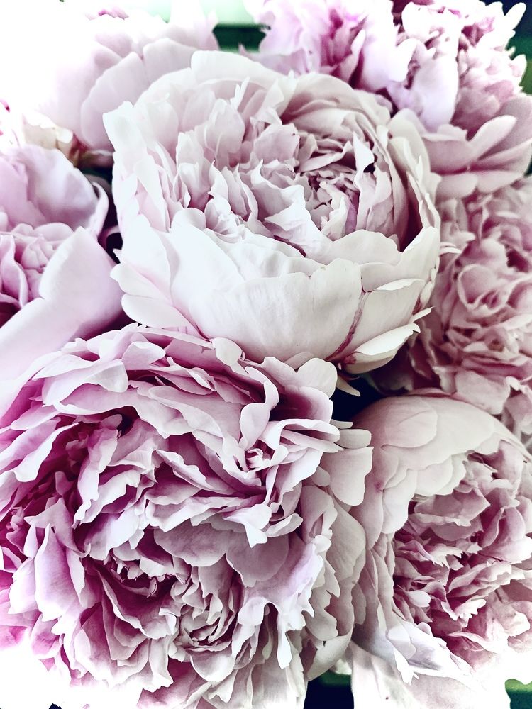 Photograph by Ирина