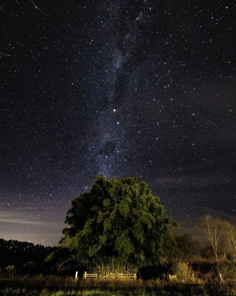 Photograph by Pablo Corengia