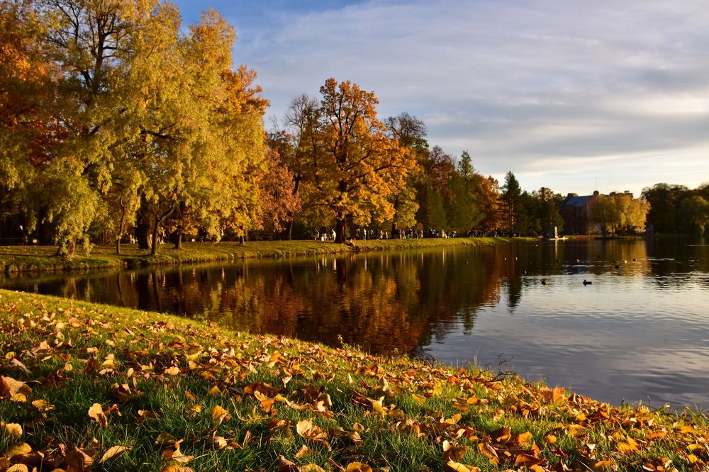 Октябрь золотой