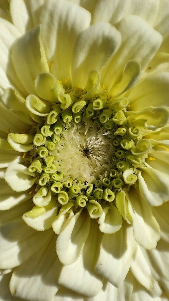 Photograph by Mila Vshivkova