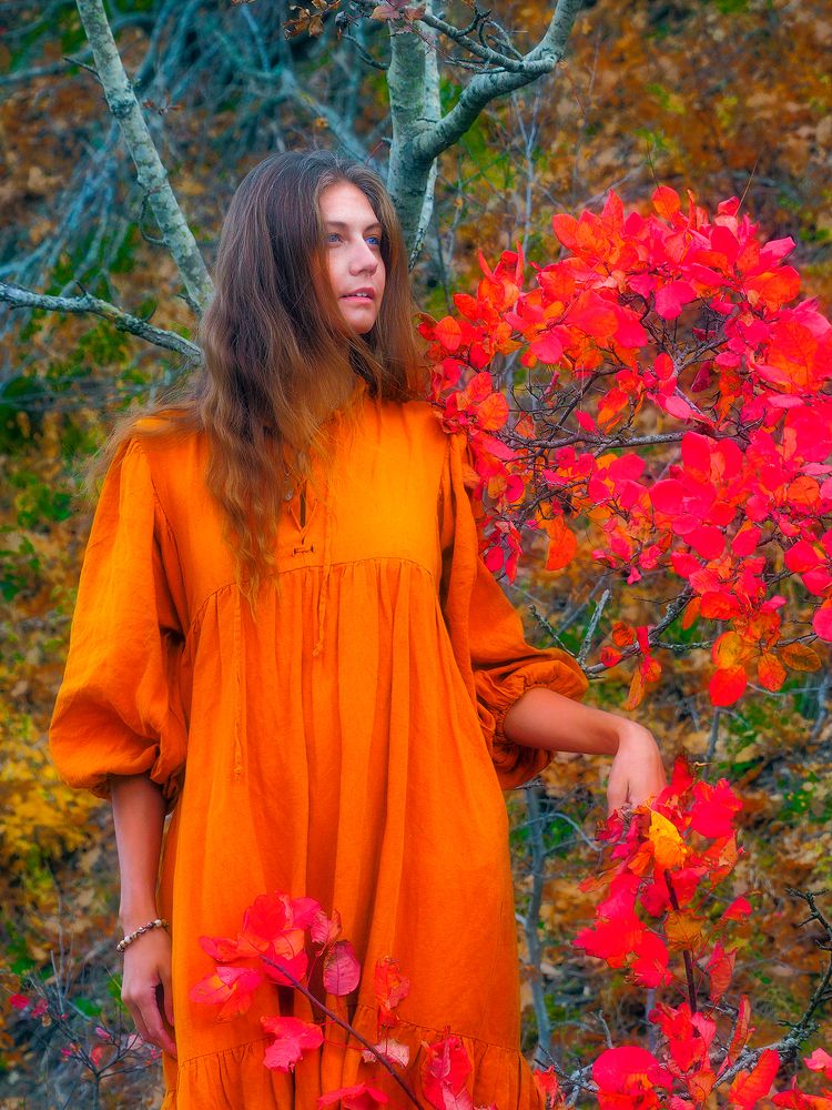 Photograph by Дмитрий Потапов